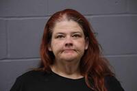 Mugshot of PURINTON, MERIA LYNN