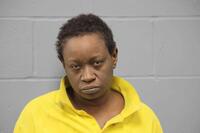 Mugshot of HIGGINS, LESLIE NICOLE