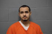 Mugshot of GOODWIN JR, JONATHAN NEIL