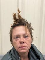 Mugshot of HANKINS, ROBIN GEAN