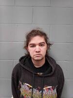 Mugshot of YOUNG, RAISTLIN JAMES
