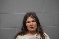 Mugshot of HARRIS, VALERIE ANN