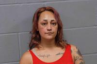 Mugshot of ULBERG, AMANDA NIVE